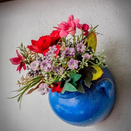 Prázdninový dům Cosy Hideaway *